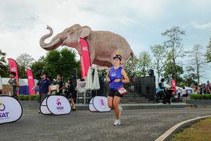 BIB: 
                            <button type="button" onclick="openModal(26528994)" class="btn btn-primary btn-sm float-right btn-popup" data-toggle="modal" data-target=".modal-high-quality">
                        <i class="fas fa-shopping-cart"></i> Add to Cart
                    </button>
                                            <button type="button" onclick="isThisMe(26528994, true)" class="btn btn-success btn-sm float-right btn-popup btn-isme hidden" data-toggle="tooltip" data-placement="bottom" title="นี่คือรูปของคุณใช่ไหม คลิกที่นี่เพื่อเอาเข้าอัลบั้ม">
                        <i class="fas fa-plus"></i> Add to album
                    </button>
                    <button type="button" onclick="isThisMe(26528994, false)" class="btn btn-warning btn-sm float-right btn-popup btn-isnotme hidden">
                        <i class="fas fa-ban"></i> Remove from album
                    </button>